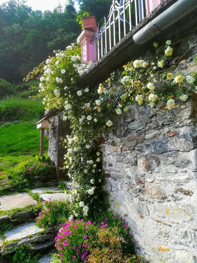 Shanty Calasca-Castiglione Bagian luar foto