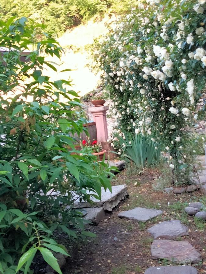 Shanty Calasca-Castiglione Bagian luar foto